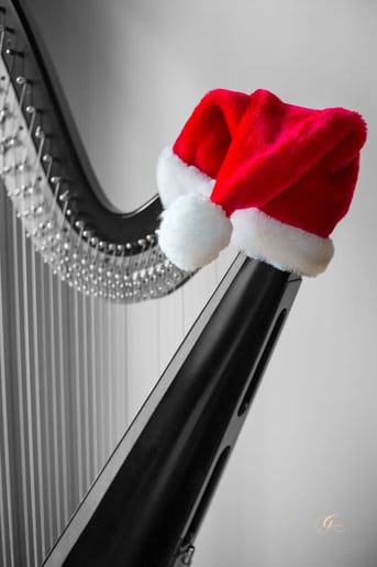 Gallery photo 4 of Emily Fife, Harpist