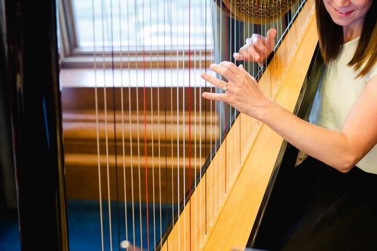 Gallery photo 2 of Emily Hinchey | Harpist