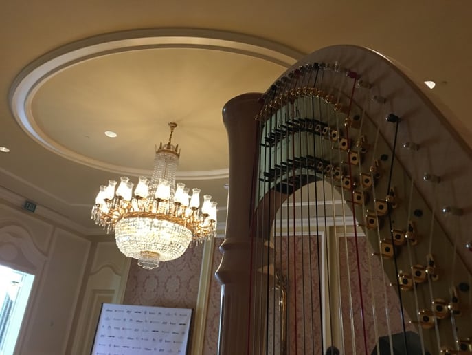 Gallery photo 6 of Emily Hinchey | Harpist