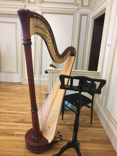 Gallery photo 9 of Emily Hinchey | Harpist