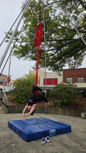 Gallery photo 1 of Emily’s Aerial Adventures