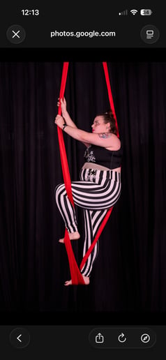 Gallery photo 3 of Emily’s Aerial Adventures
