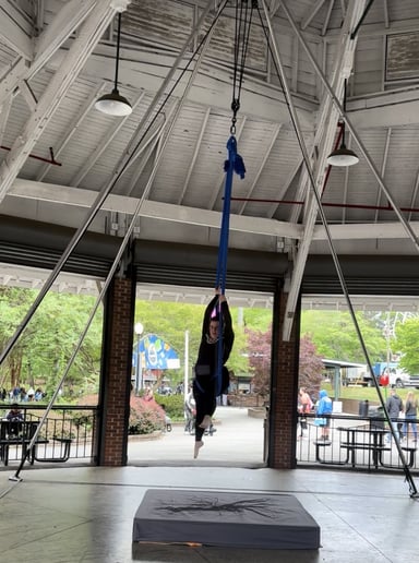Gallery photo 6 of Emily’s Aerial Adventures