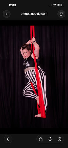 Gallery photo 9 of Emily’s Aerial Adventures