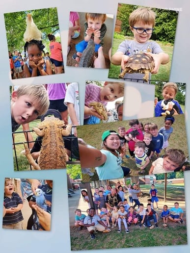 Gallery photo 3 of Emit's  Farm and Adventure Park