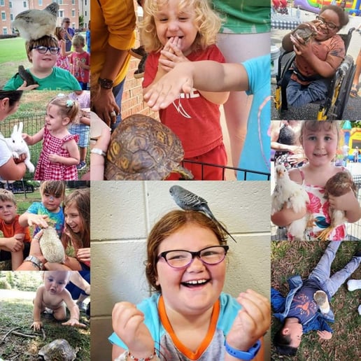 Gallery photo 5 of Emit's  Farm and Adventure Park