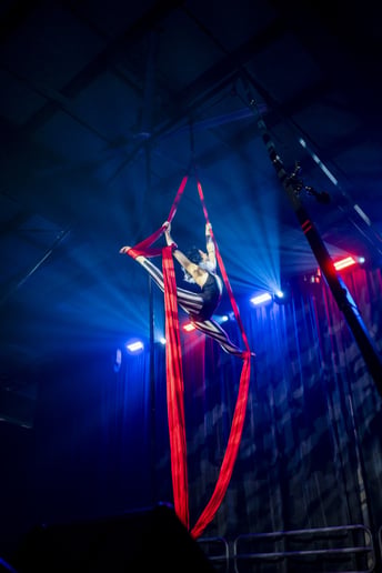 Gallery photo 2 of Emma Carrothers Aerials