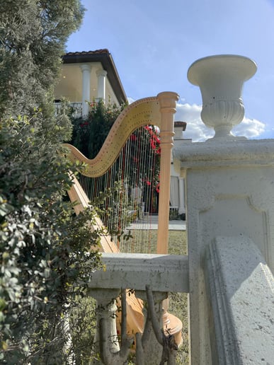 Gallery photo 17 of Emma The Harpist
