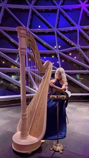 Gallery photo 28 of Emma The Harpist