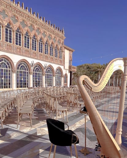 Gallery photo 6 of Emma The Harpist