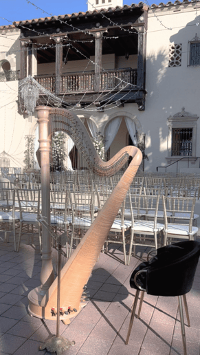 Gallery photo 5 of Emma The Harpist