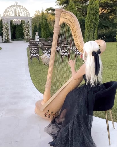Gallery photo 20 of Emma The Harpist