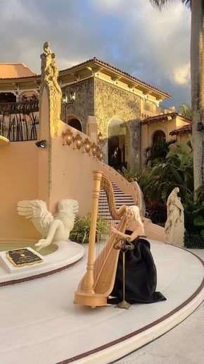 Gallery photo 10 of Emma The Harpist