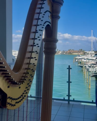 Gallery photo 22 of Emma The Harpist