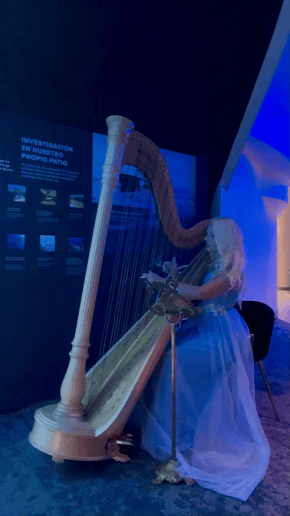 Gallery photo 26 of Emma The Harpist