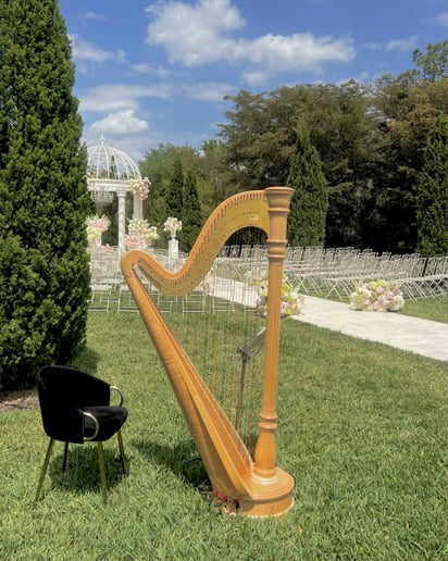 Gallery photo 21 of Emma The Harpist
