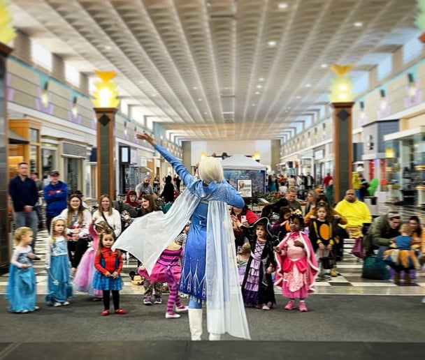 Gallery photo 10 of Emmalee's Memories WNY Princess Parties