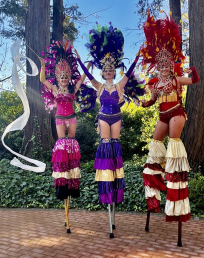 Gallery photo 4 of Emotiv Dance