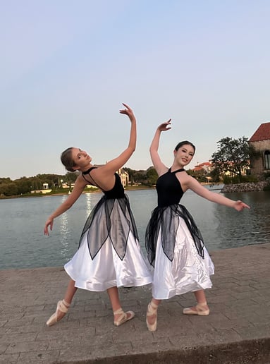 Gallery photo 5 of Empire Dance Show By Yulianna