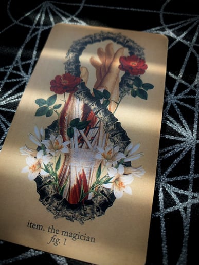 Gallery photo 3 of Empress Tarot