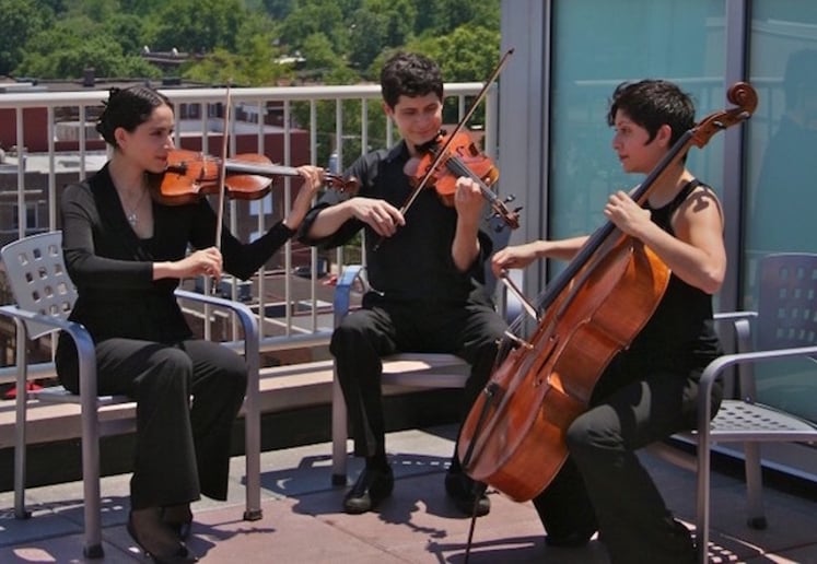 Gallery photo 3 of Enchanted Occasions Music