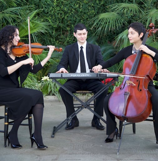 Gallery photo 4 of Enchanted Occasions Music