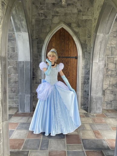 Gallery photo 5 of Royal Wishes Parties