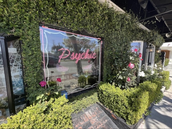 Gallery photo 4 of Enchanted Psychic