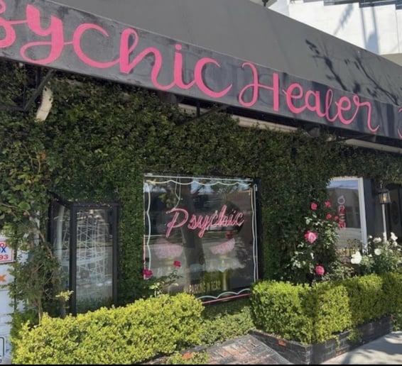 Gallery photo 5 of Enchanted Psychic