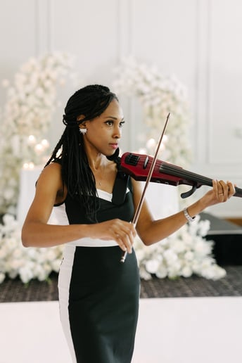 Gallery photo 6 of Enchanted Strings