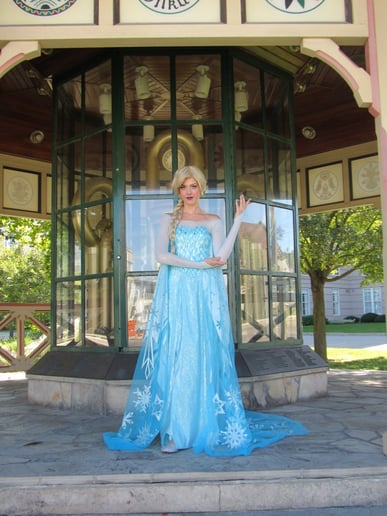 Gallery photo 1 of Fairytale Parties
