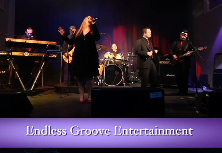 Gallery photo 2 of Endless Groove Entertainment
