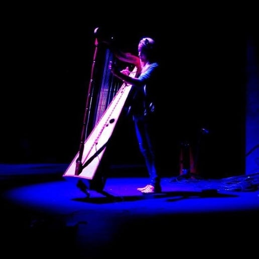 Gallery photo 20 of Electro and Classical Harpist Kiki Bello