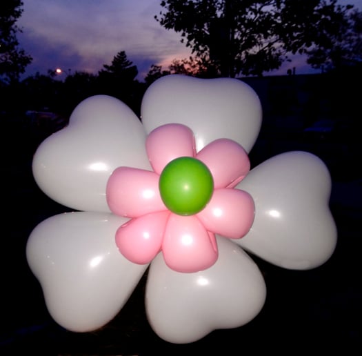 Gallery photo 8 of Balloon Bobo