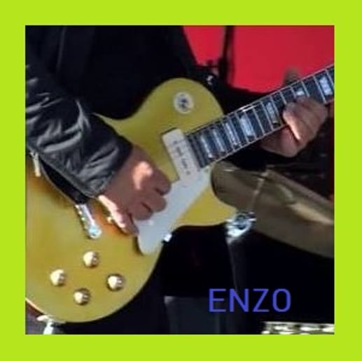 Gallery photo 4 of Enzo and the Surf Riders