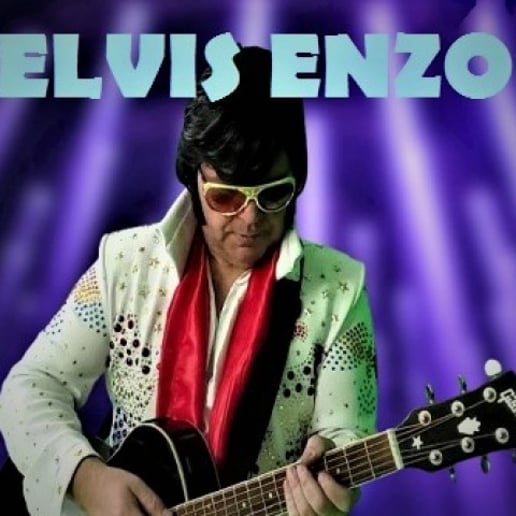 Gallery photo 10 of Pitbull Tribute • Elvis Tribute • Ultimate Party Experience