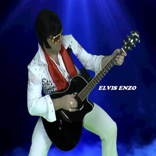 Gallery photo 17 of Pitbull Tribute • Elvis Tribute • Ultimate Party Experience