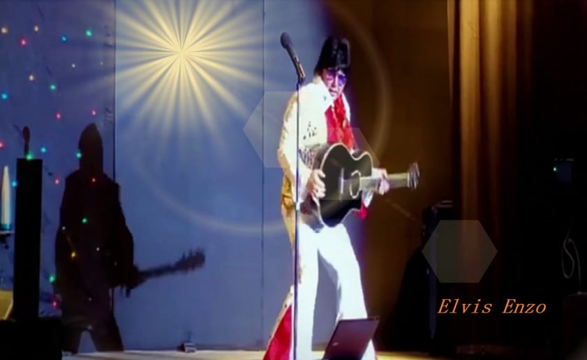 Gallery photo 23 of Pitbull Tribute • Elvis Tribute • Ultimate Party Experience