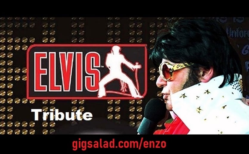 Gallery photo 3 of Pitbull Tribute • Elvis Tribute • Ultimate Party Experience