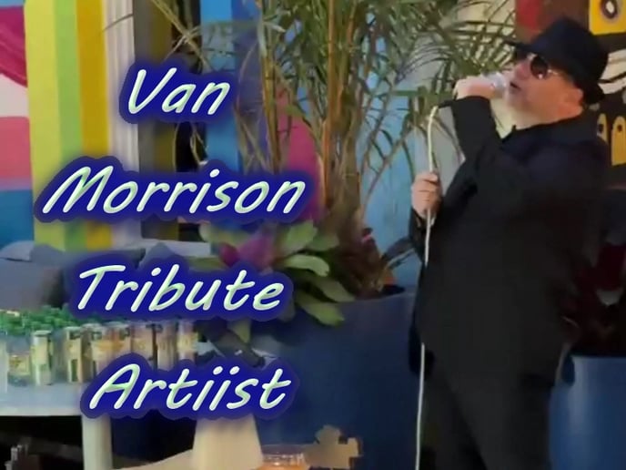 Gallery photo 25 of Pitbull Tribute • Elvis Tribute • Ultimate Party Experience
