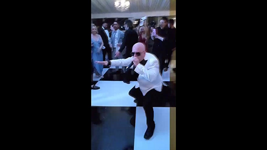 Gallery photo 8 of Pitbull Tribute • Elvis Tribute • Ultimate Party Experience