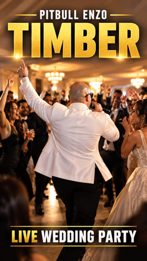 Gallery photo 10 of Elvis & Pitbull Tribute — Wedding & Party Starters