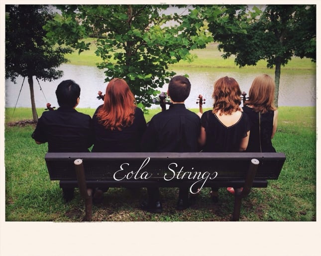 Gallery photo 2 of Eola Strings