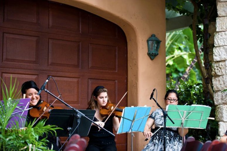 Gallery photo 16 of Eola Strings
