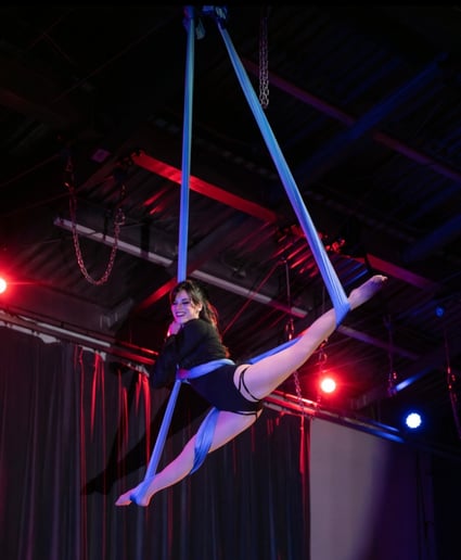 Gallery photo 5 of Erica Mix Aerials and Character Work