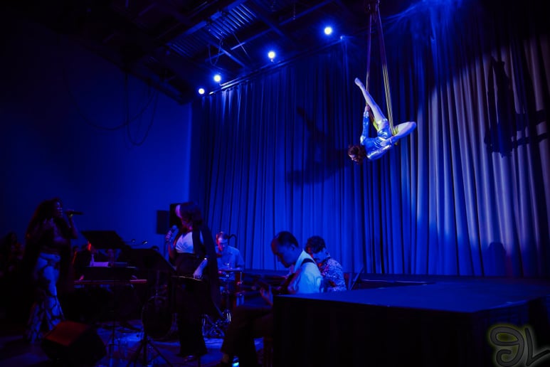 Gallery photo 3 of Erica Mix Aerials and Character Work