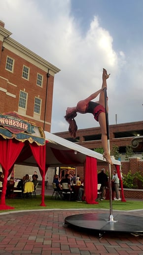 Gallery photo 4 of Erica Mix Aerials and Character Work