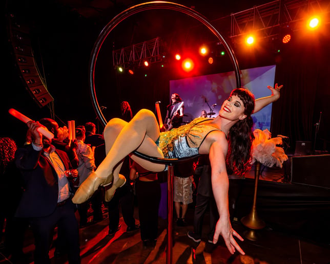 Gallery photo 6 of Erica Mix Aerials and Character Work