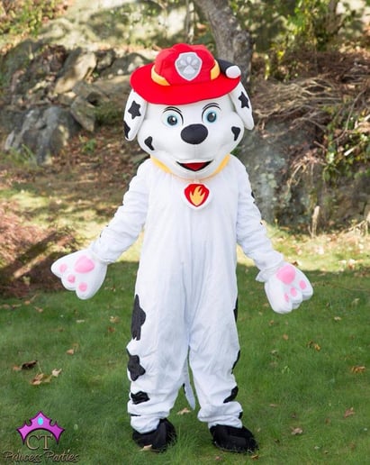 Gallery photo 6 of CT Princess Parties