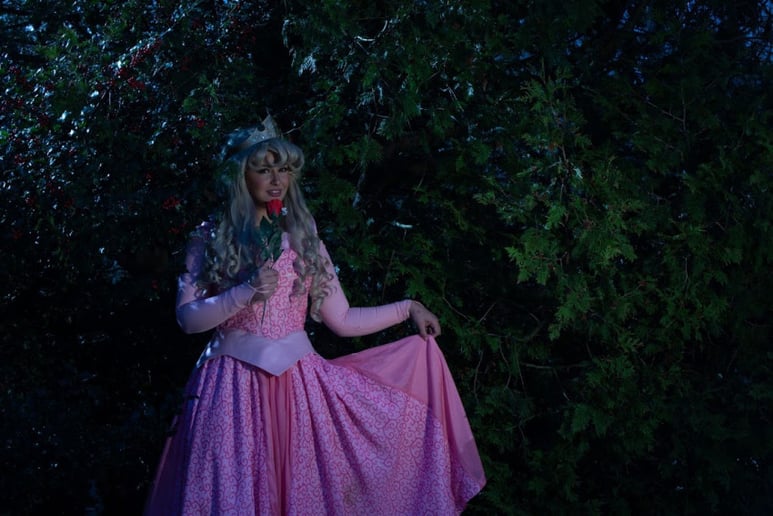 Gallery photo 38 of CT Princess Parties